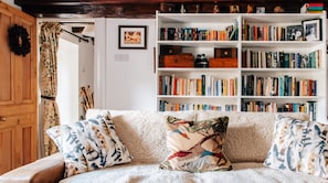 TV, fireplace, DVD player, books