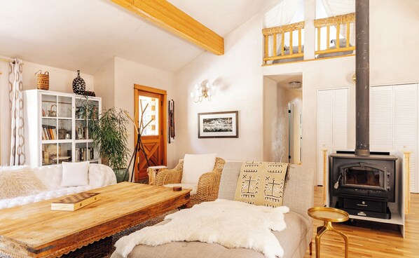 TV, fireplace, books