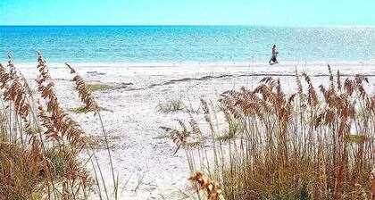 Crescent Street 1138 B, 1 Bedrooms, Pool, pet Friendly, Walk to the Beach