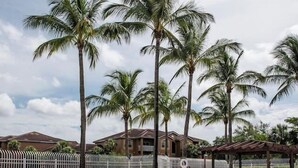 Ein Swimmingpool mit Liegestühlen, Palmen und einem weißen Zaun.