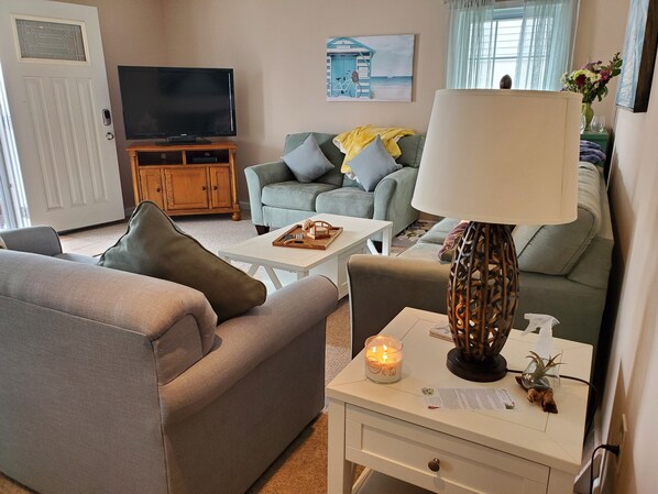 Smart TV, DVD player, books, video library