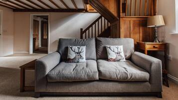 TV, perapian, pemutar DVD, dan buku