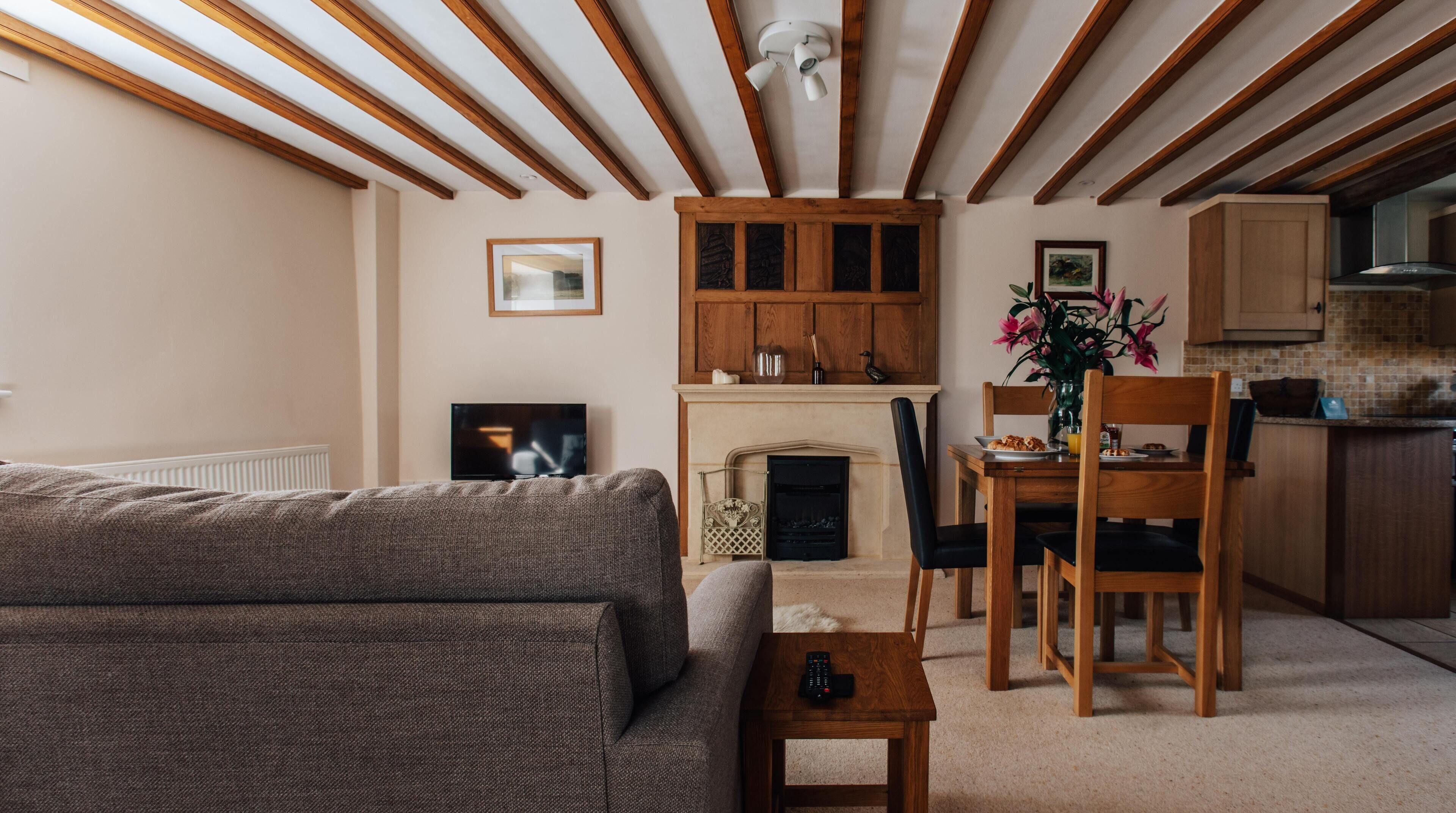 TV, fireplace, DVD player, books