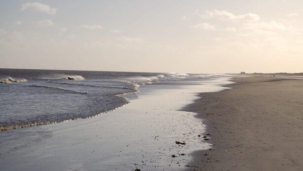 Beach - Plum Guide - Lucky Horseshoe (Louth)