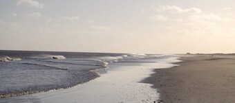 Plum Guide - Lucky Horseshoe