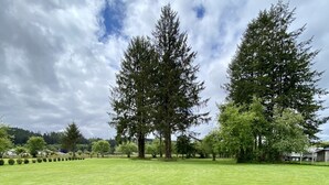 Un champ verdoyant avec deux grands arbres et un ciel dégagé.