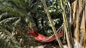 DĂ©tail de lâextĂ©rieur