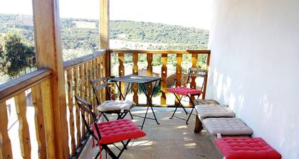 Casa do Soto - Rural tourism - A house just for you