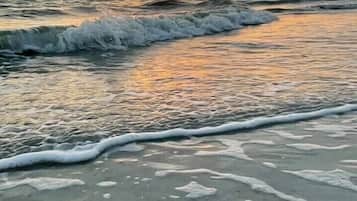 Plage à proximité, chaises longues, serviettes de plage