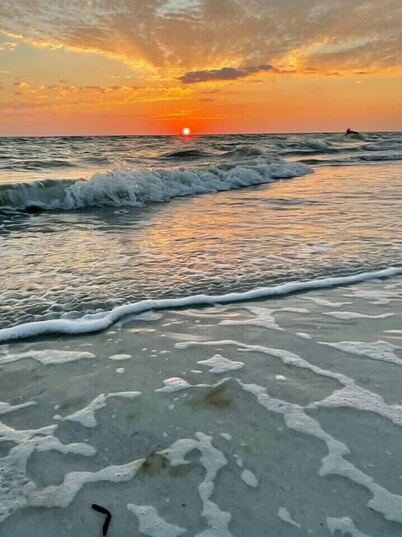 Walk to Siesta Key Beach & Village – Cozy 2BR