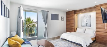 Modern Designer Studio with Pool