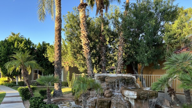 A landscaped garden with a water feature, palm trees, and a pathway.