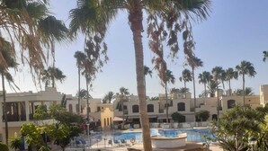 A pool area with palm trees, a bench, and a building with multiple balconies in the background.