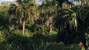 A coastal landscape with a boat on the water, palm trees, and a beach in the background. - Direct Oceanfront View- 213 Breakers-Pool (Hilton Head Island)