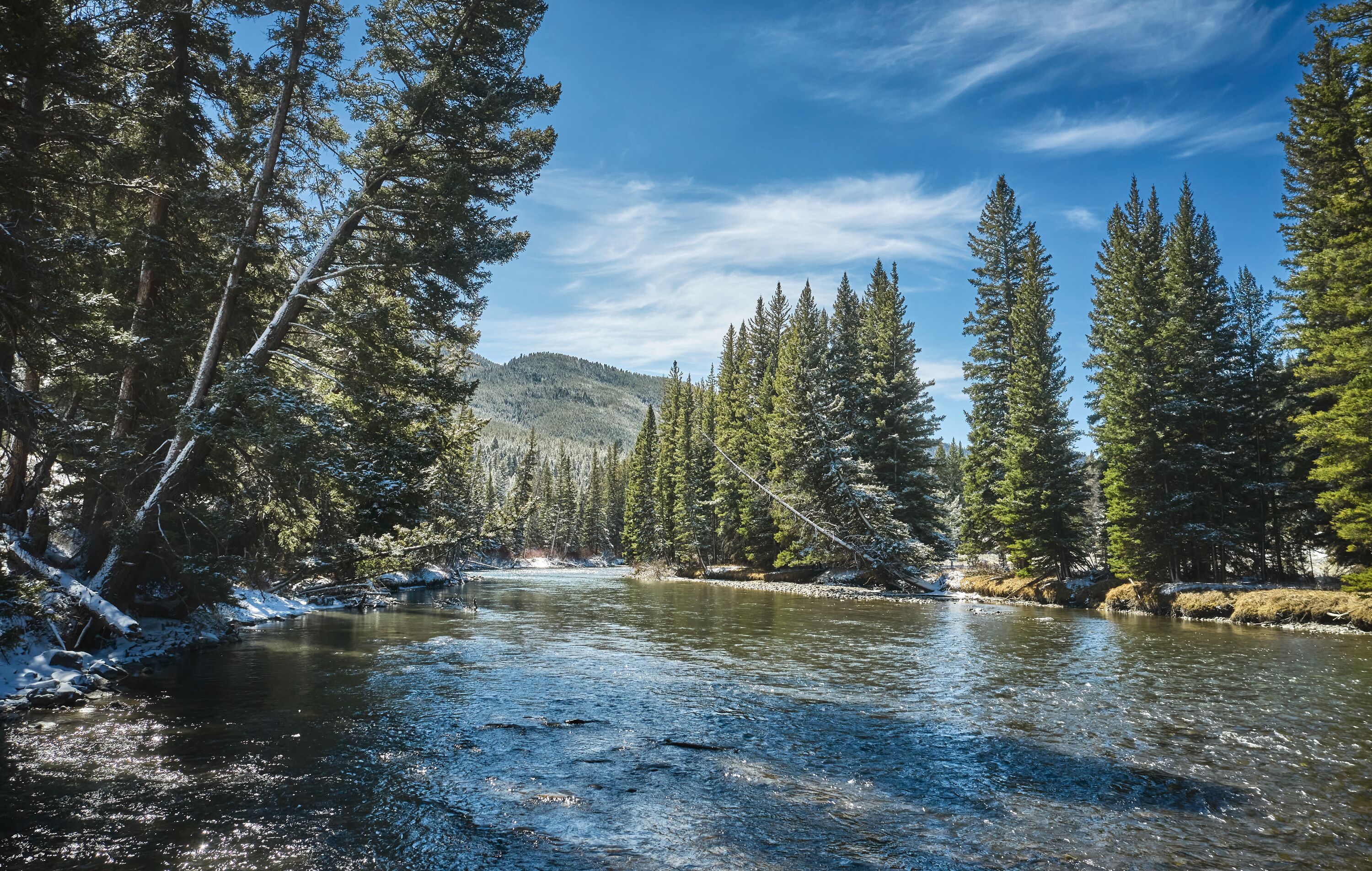 A river surrounded by tall evergreen trees and a snow-covered landscape.