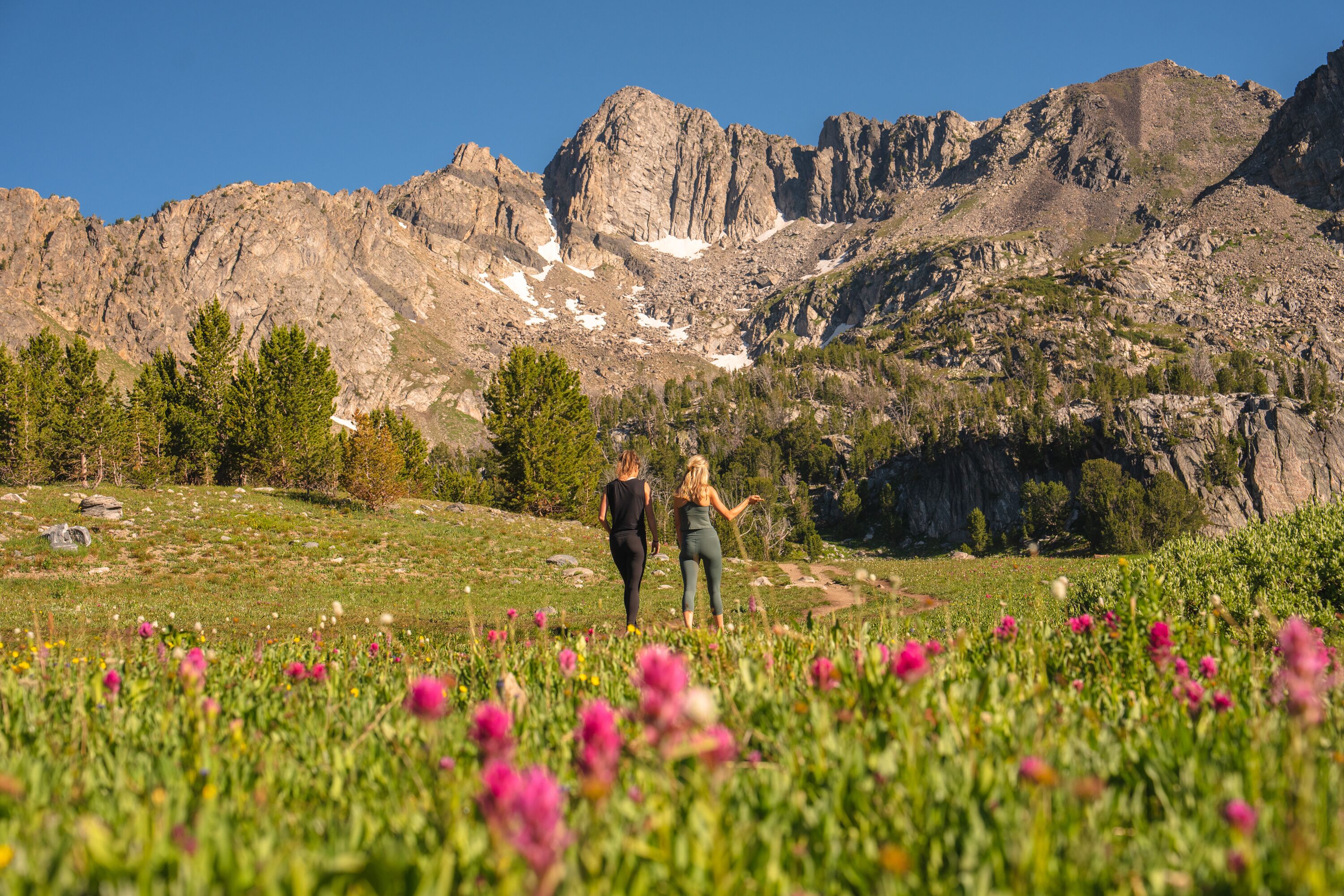 A mountainous landscape with two people walking in a field of wildflowers.
