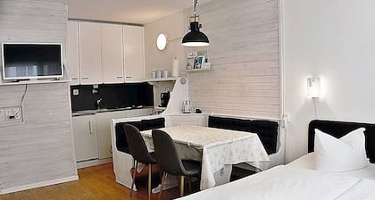 Zentrale gemütliche Wohnung St. Moritz A212