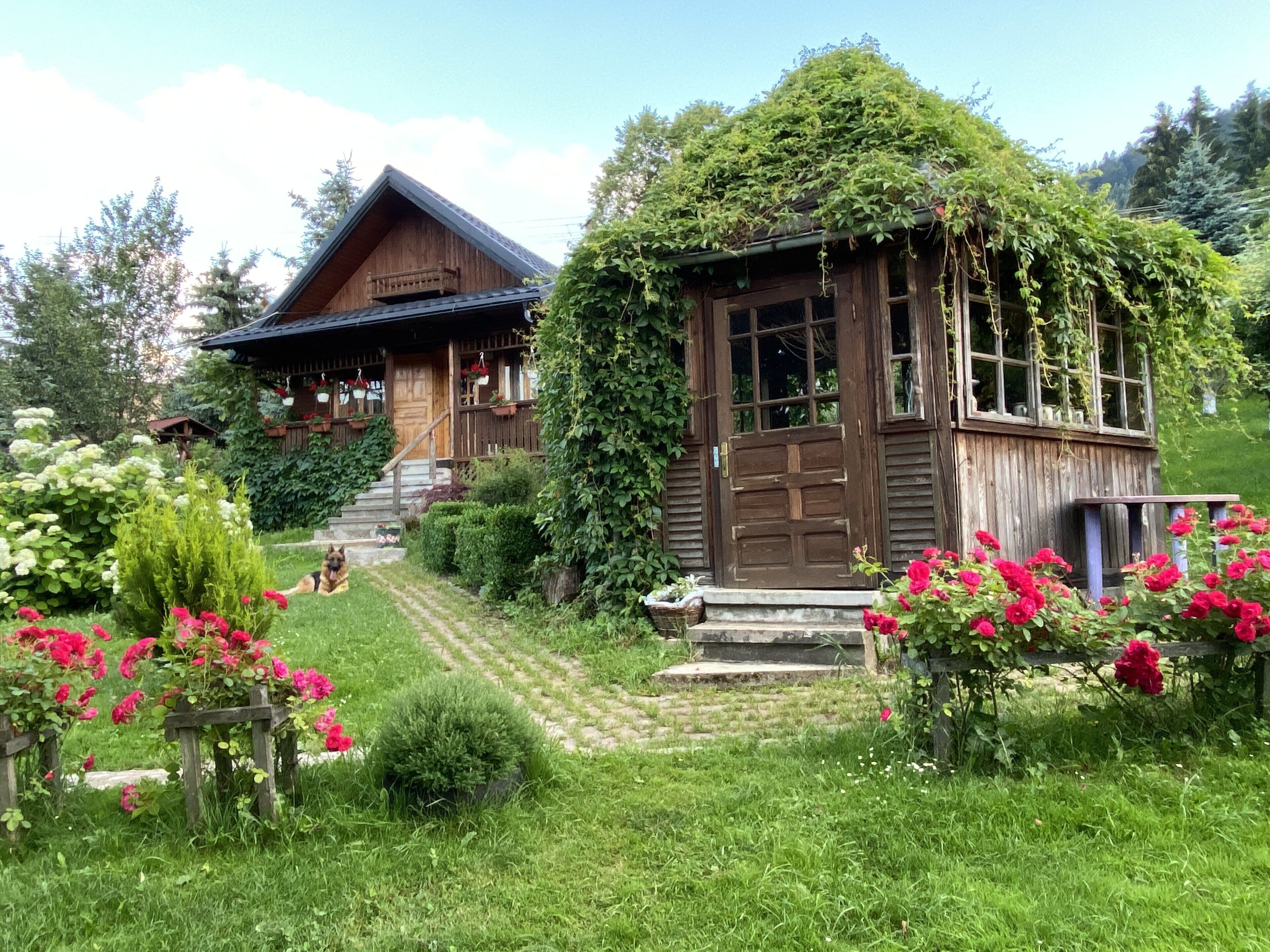 Quiet lodge located within walking distance from shops, cafes and restaurants 