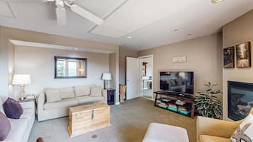 TV, fireplace, books