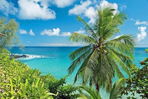 Remodeled Maui OceanFront 2BD w Ocean Views Valley Isle 208