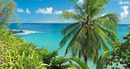 Remodeled Maui OceanFront 2BD w Ocean Views Valley Isle 208