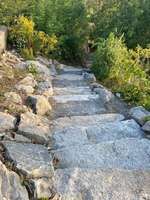 Eine steinerne Treppe, umgeben von Grün.
