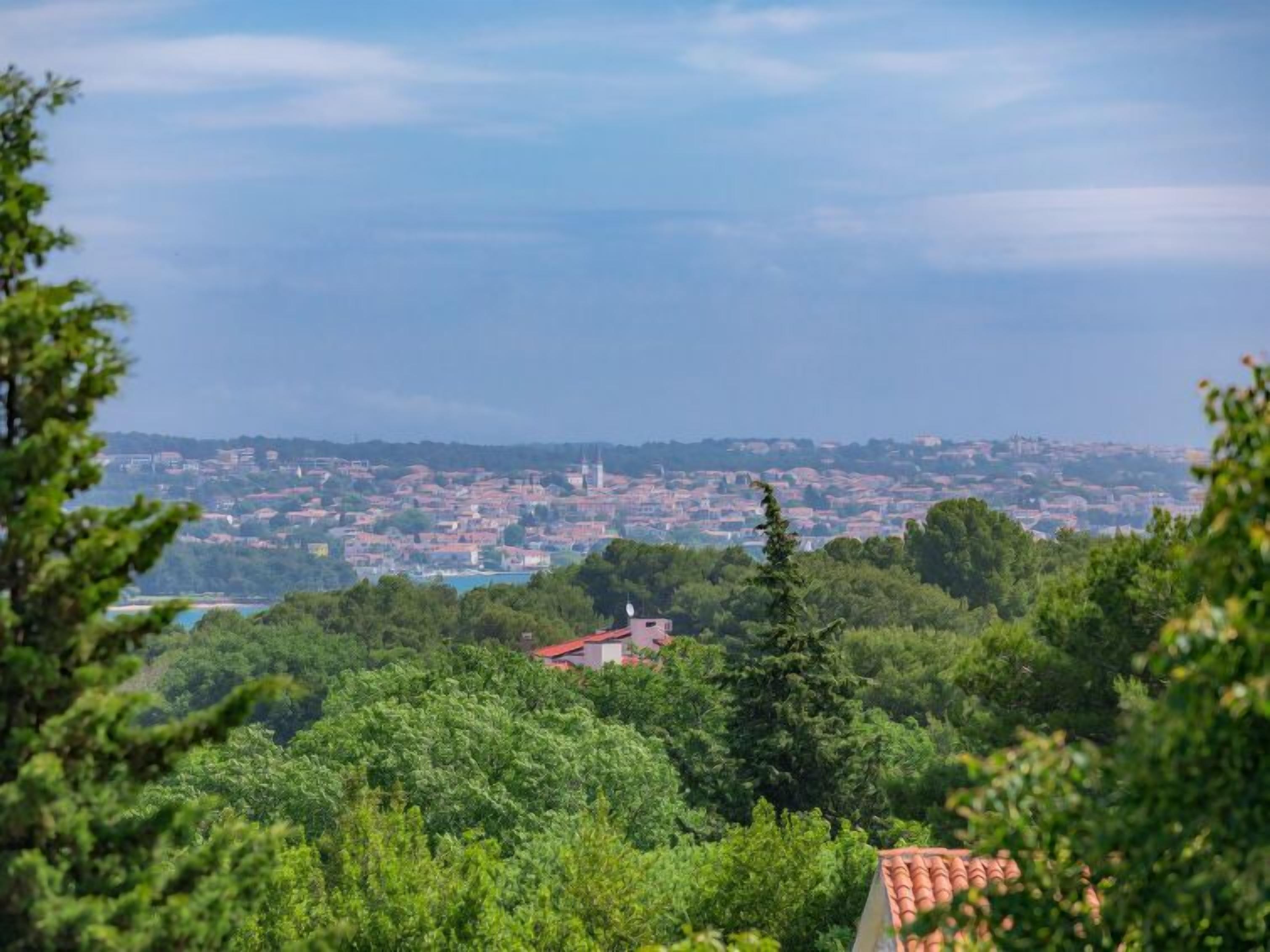 A view of a town with a prominent church spire, surrounded by dense greenery and a clear sky.