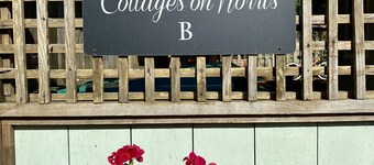 Cottages on Norris Unit B DOWNTOWN PET FRIENDLY