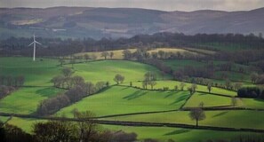 Aerial view - Woodpecker Pod with views (Lampeter)