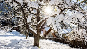 A snow-covered landscape with a tree, a wooden fence, and a building with a sloped roof. - Apartment "Bergfrieden 2 B" with Mountain View, Pool, Wi-Fi, Terrace & Garden (Seis am Schlern BZ)