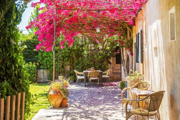 Restauration en plein air