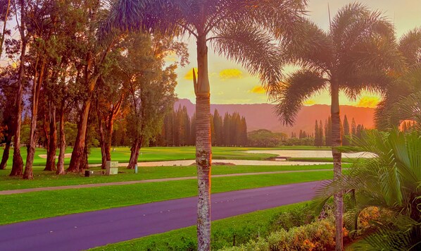 Um campo de golfe com um caminho bem definido, rodeado por árvores e um pôr do sol ao fundo.