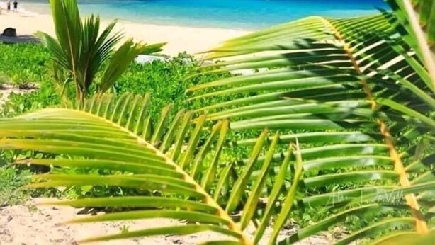 Una playa con agua azul cristalina, follaje verde y montañas al fondo.