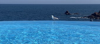 A little corner of paradise on the Esterel, waterfront, sea view, heated pool