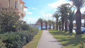 A coastal walkway lined with palm trees and a marina in the background. - Opuntia Location en Méditerranée (Escales)