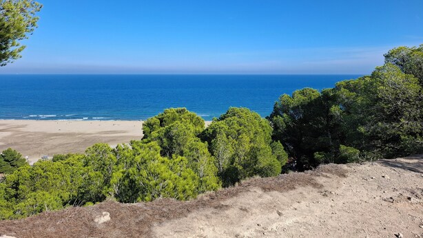 A coastal landscape with a beach, dense green trees, and a clear blue sky. - Opuntia Location en Méditerranée (Escales)