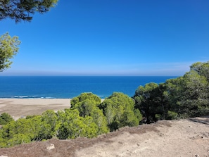 Un paisaje costero con una playa, árboles verdes frondosos y un cielo azul despejado.