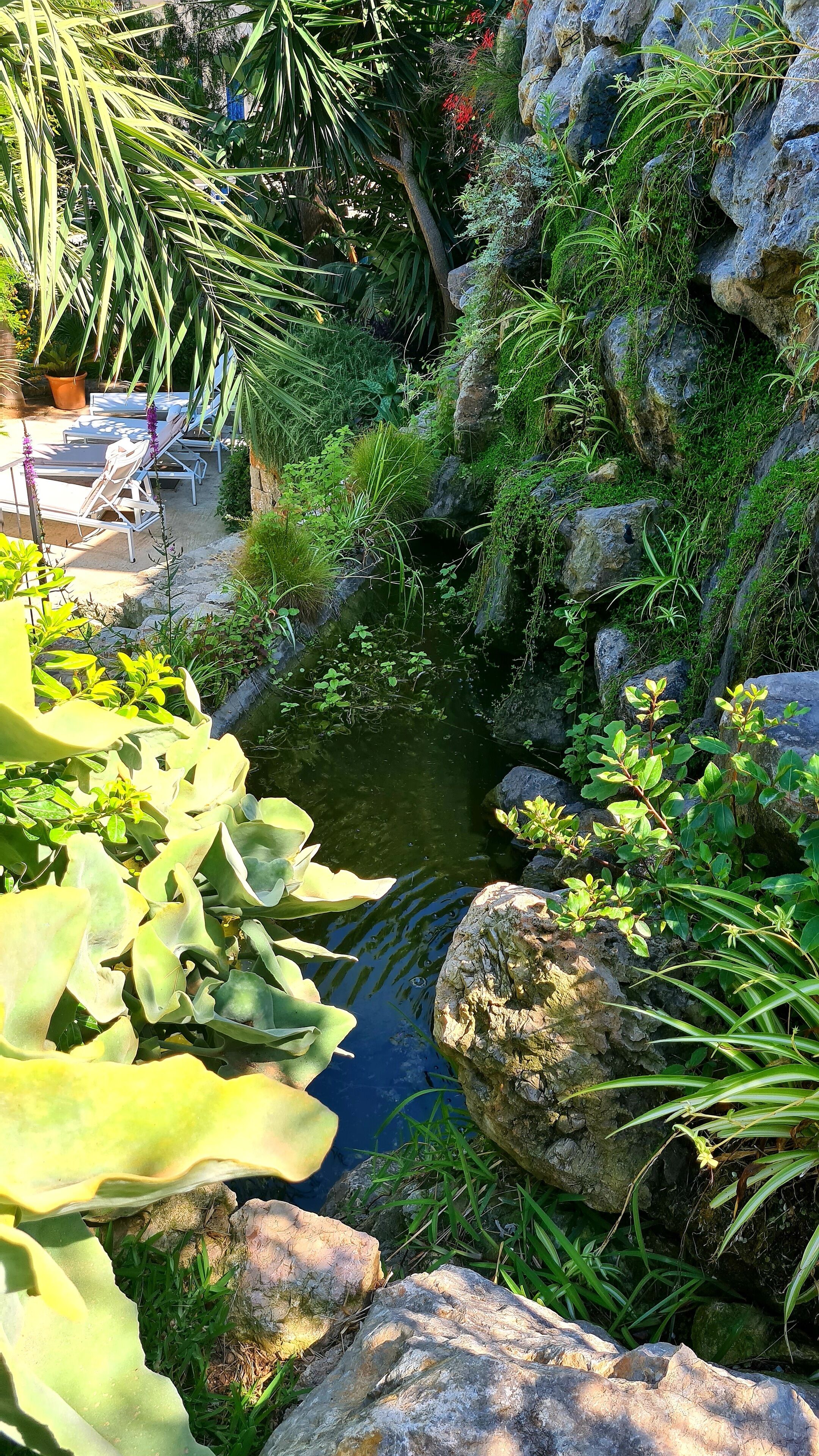 Jardines del alojamiento