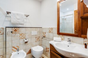 Shower, hair dryer, bidet