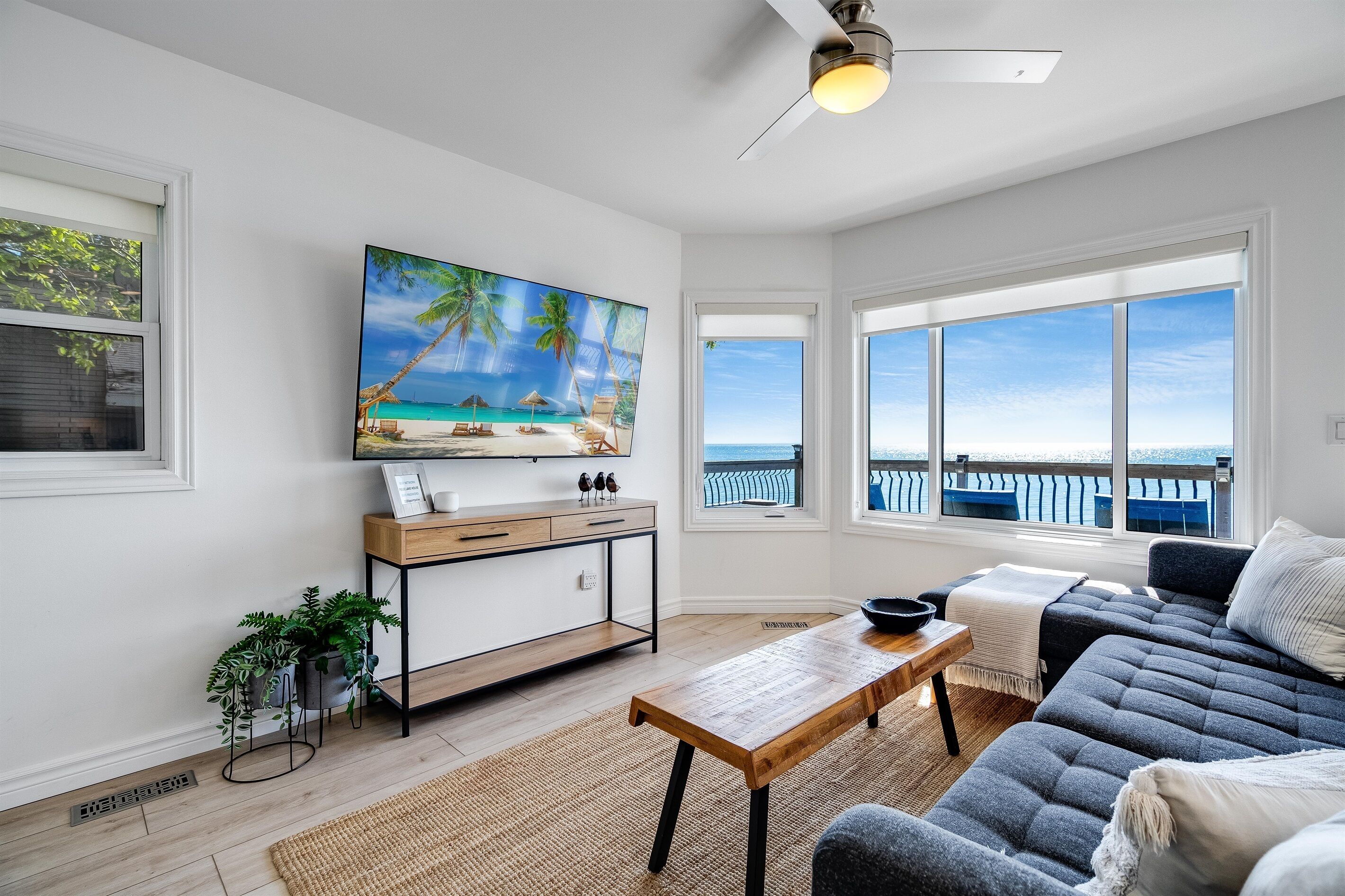 Smart TV, fireplace, books