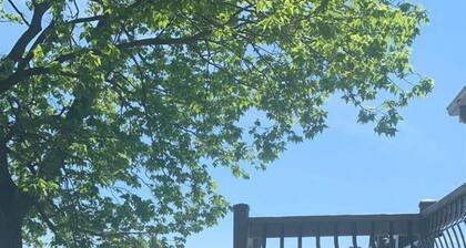 ON POINT: Pelee Beach House