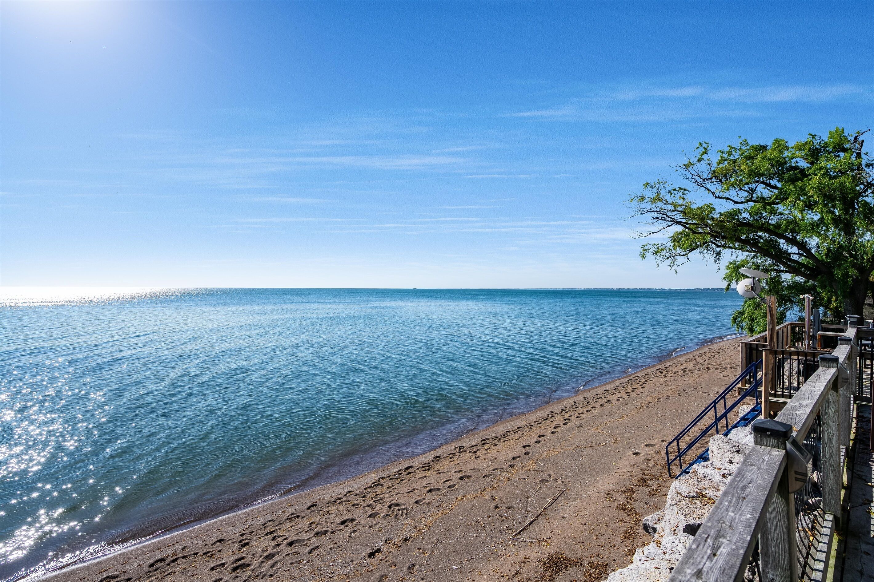 Une plage avec une promenade en bois et un arbre.