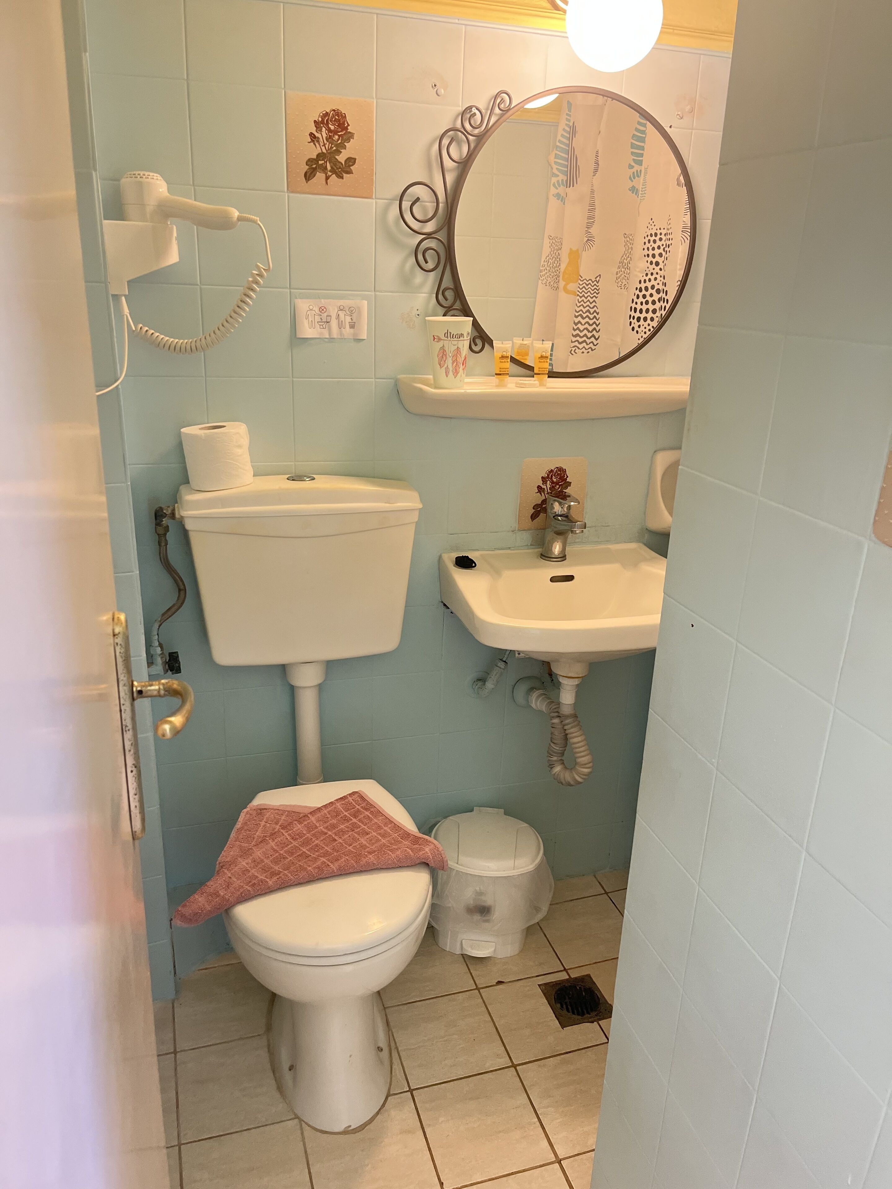 Een badkamer met toilet, wastafel en spiegel.