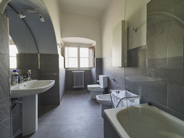 Combined shower/tub, hair dryer, towels, soap