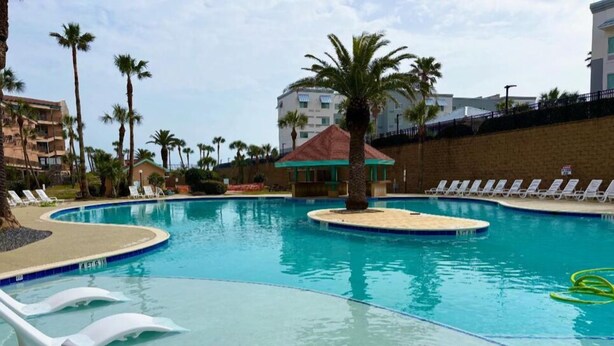 Una piscina con sillas de descanso y palmeras.