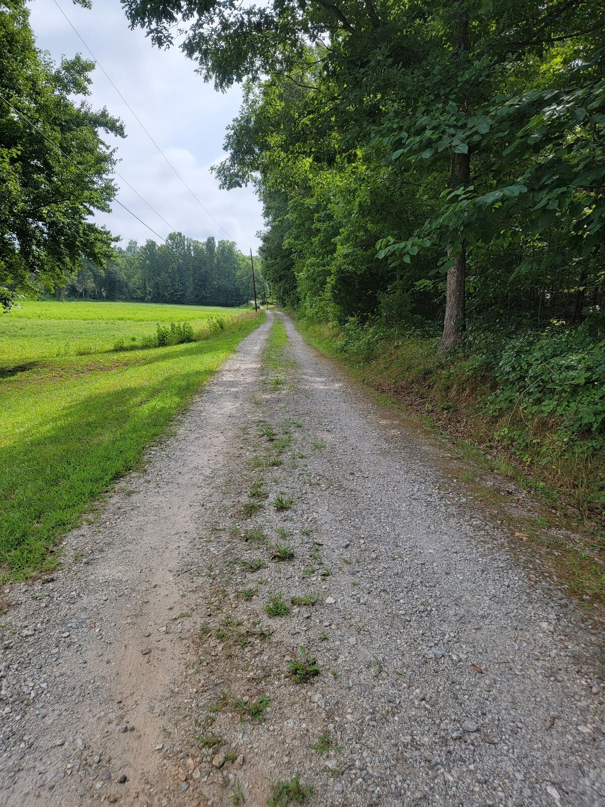 Photo 42 of Remote, Modern, Cozy Cabin on 12 acres; Only 2.5 Miles from Traveler's Rest!