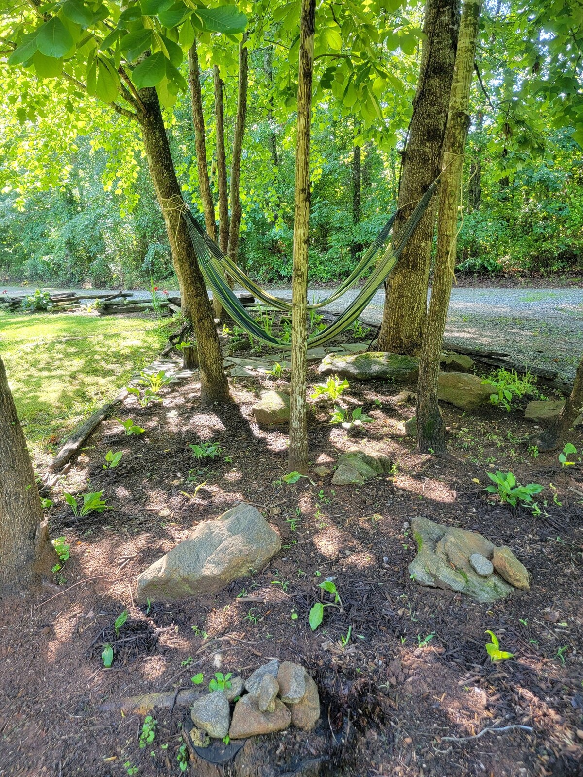 Photo 38 of Remote, Modern, Cozy Cabin on 12 acres; Only 2.5 Miles from Traveler's Rest!