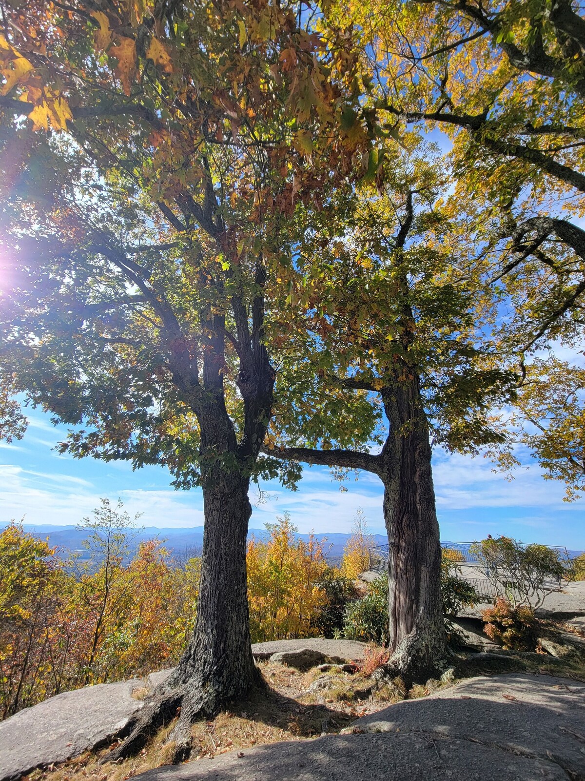 Photo 56 of Remote, Modern, Cozy Cabin on 12 acres; Only 2.5 Miles from Traveler's Rest!