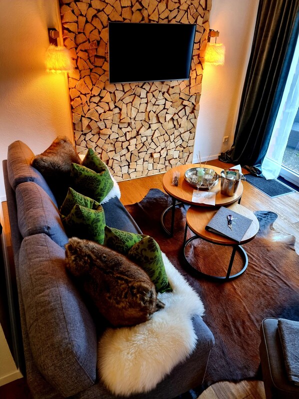 Smart TV, fireplace, books