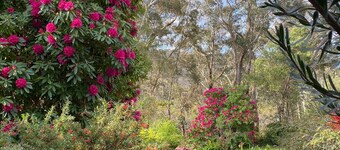 Govetts Leap lookout cottage